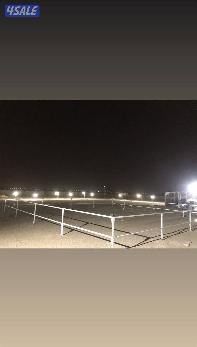 تفصال بنأجر خيل بادوك مصلب هنقر توصل وت ساب10