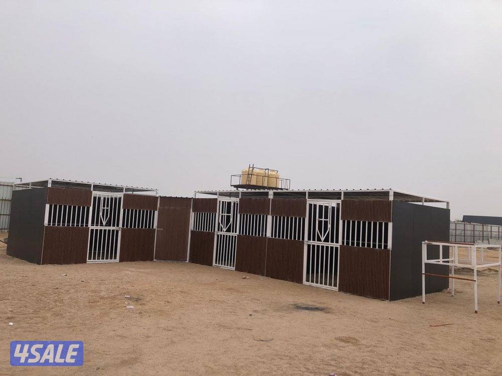 تفصال بنأجر خيل بادوك مصلب هنقر توصل وت ساب1