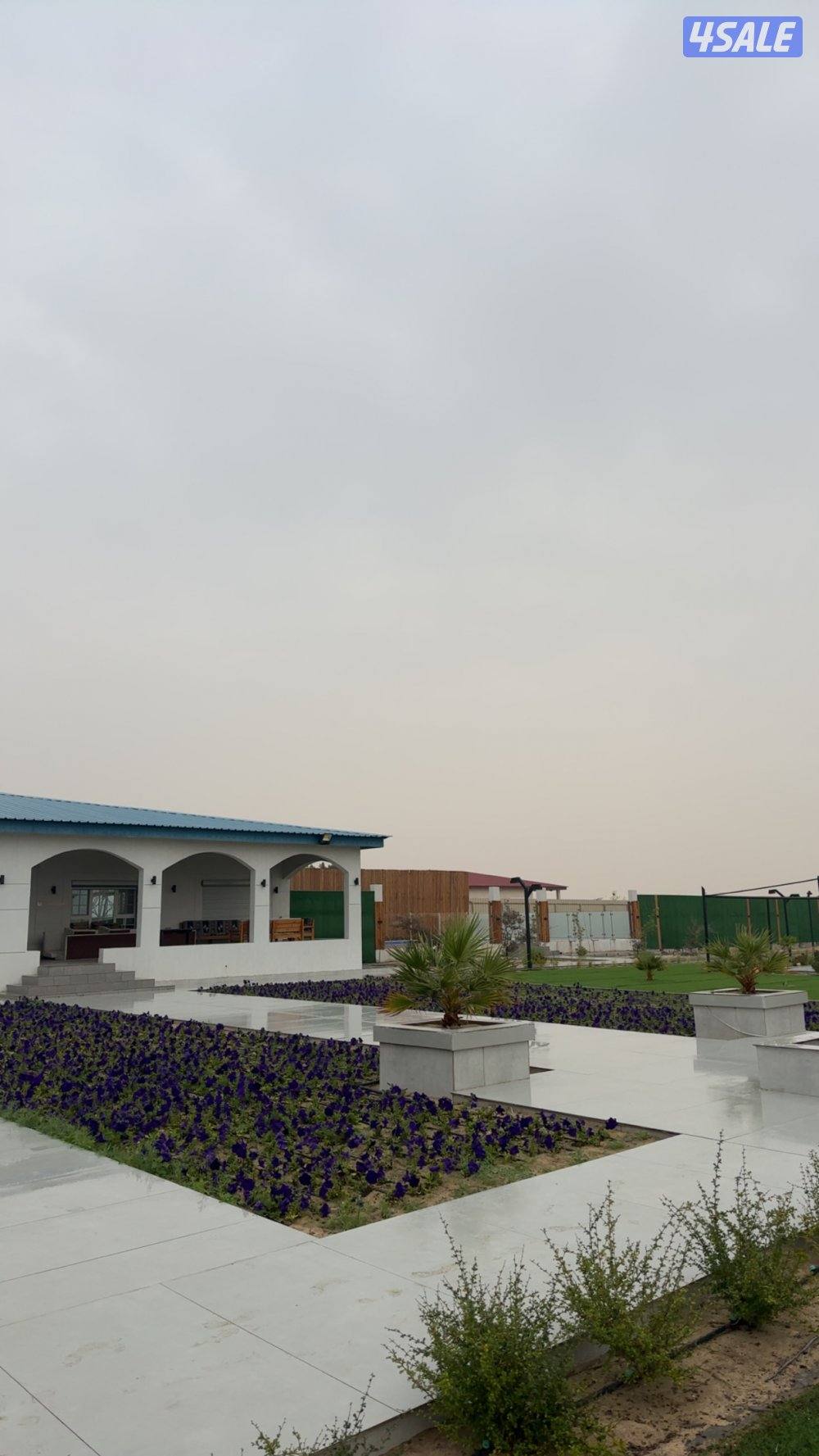 للايجار مزرعة بالوفره8