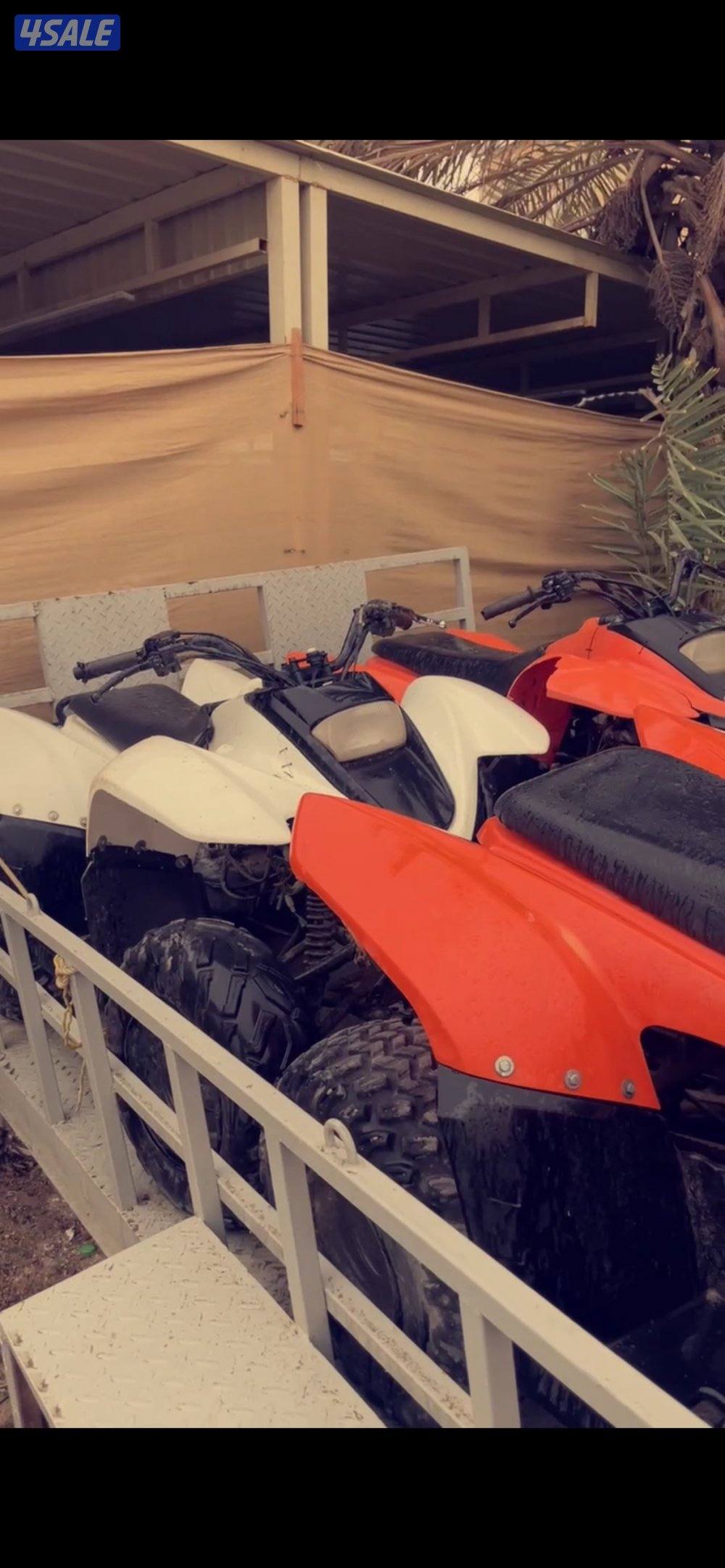 للبيع ٦بقيات حجم 100 يحتاجون سيرفس واقفين من الموسم الي طاف البيع جملة0