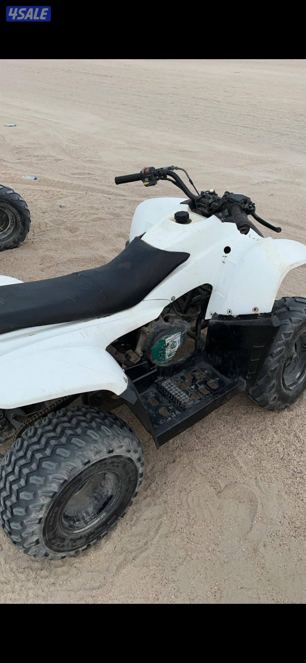 للبيع ٦بقيات حجم 100 يحتاجون سيرفس واقفين من الموسم الي طاف البيع جملة1