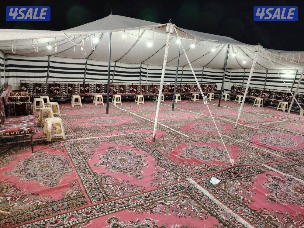 تأجير بيوت شعر تاجير خيم عزاه جميع المناسبات تاجير بنشا تاجير كراسي جم0
