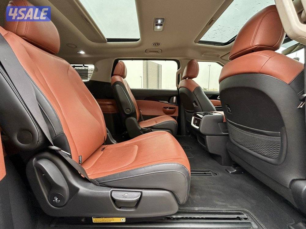 كرنفال / ٢٠٢٢ / اعلى درجه10