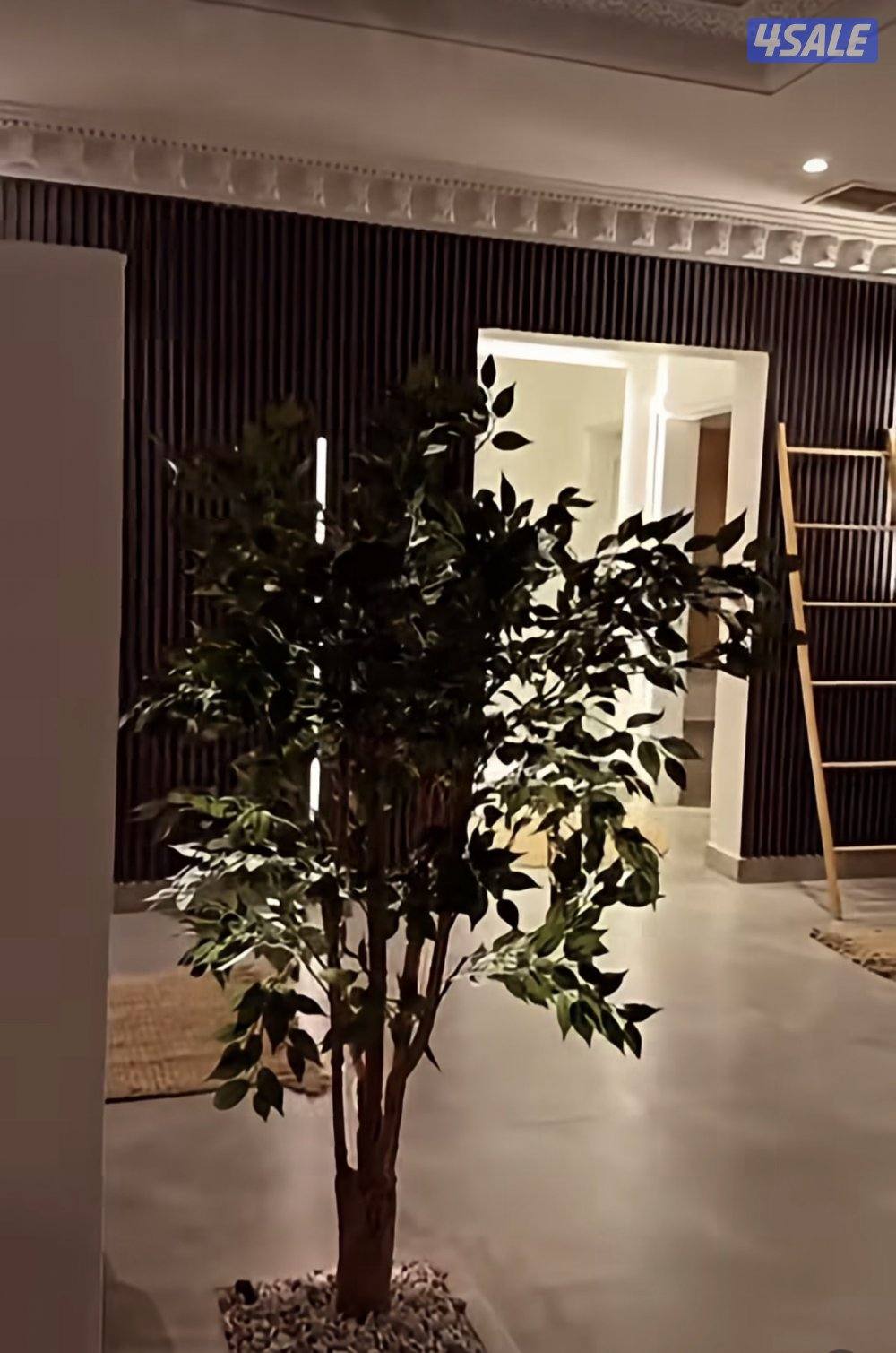 متوفر للايجار هالويك اند أستراحة فخمة  في كبد مكانها قريب من الخدمات11