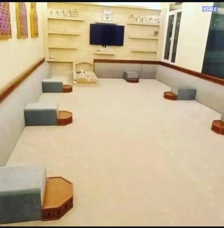 الفرونيه الضجيج1