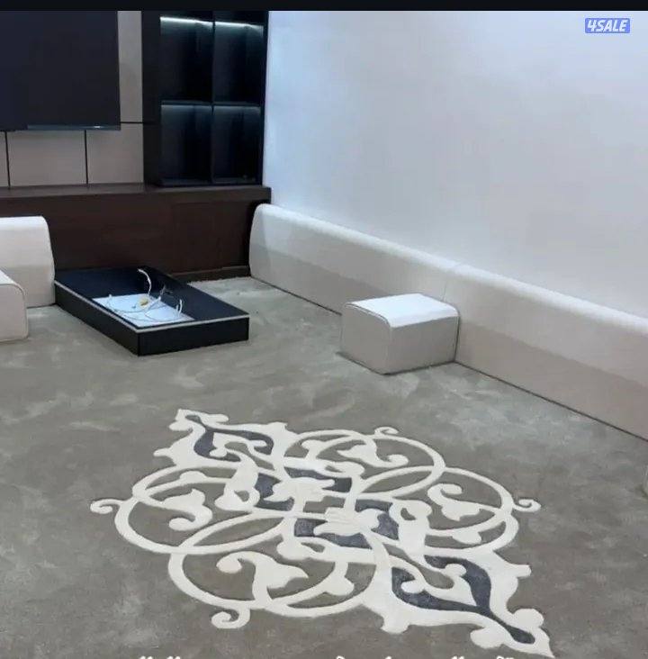 الفرونيه الضجيج4