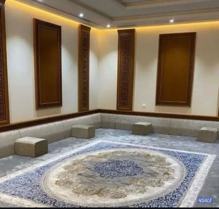 الفرونيه الضجيج6