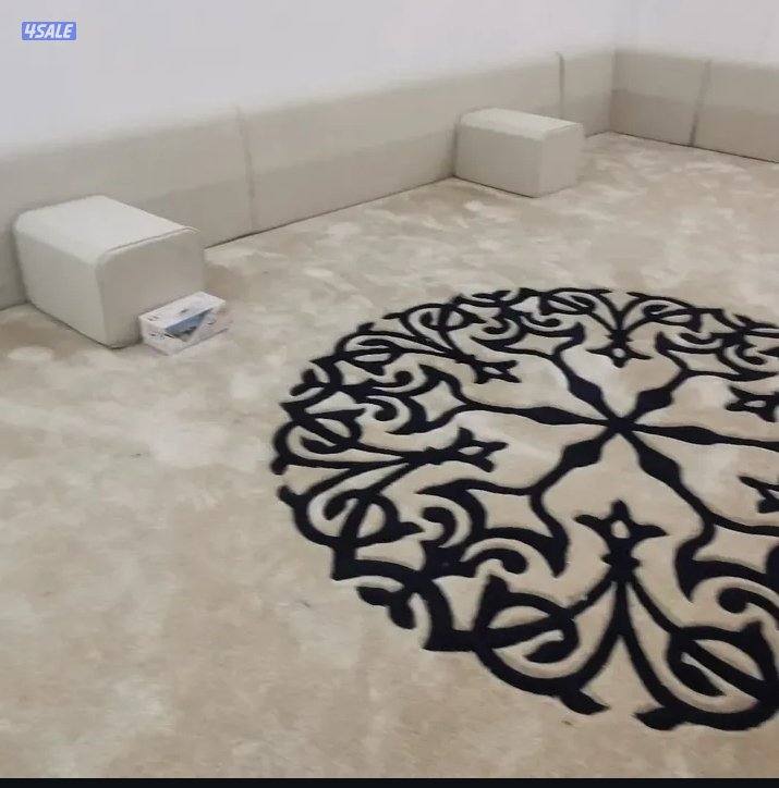 الفرونيه الضجيج9