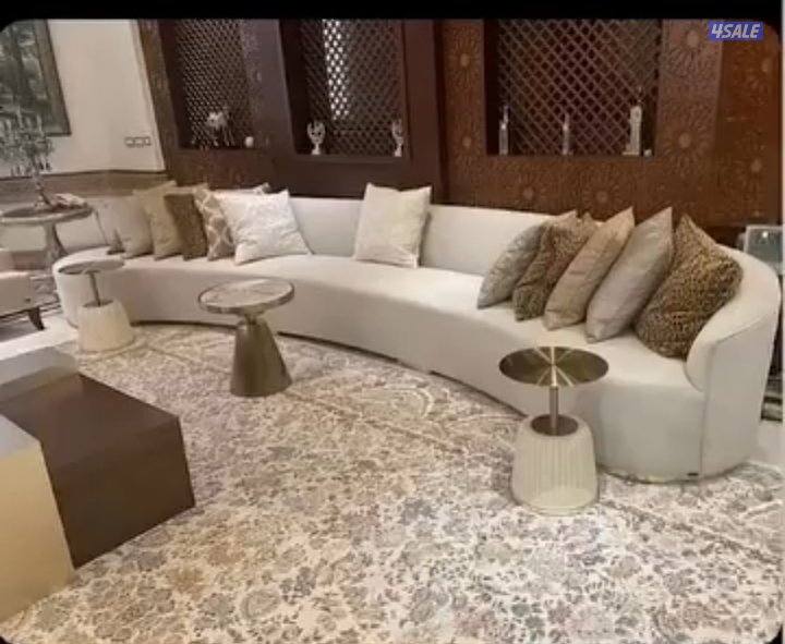 الفرونيه الضجيج11