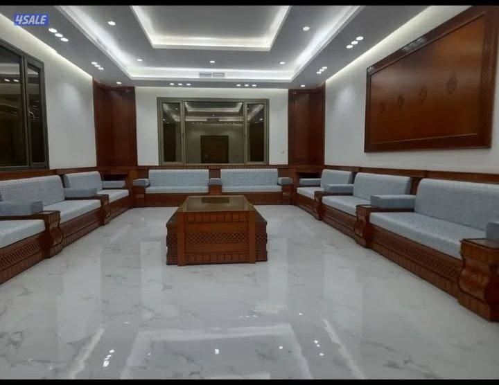 الفرونيه الضجيج12