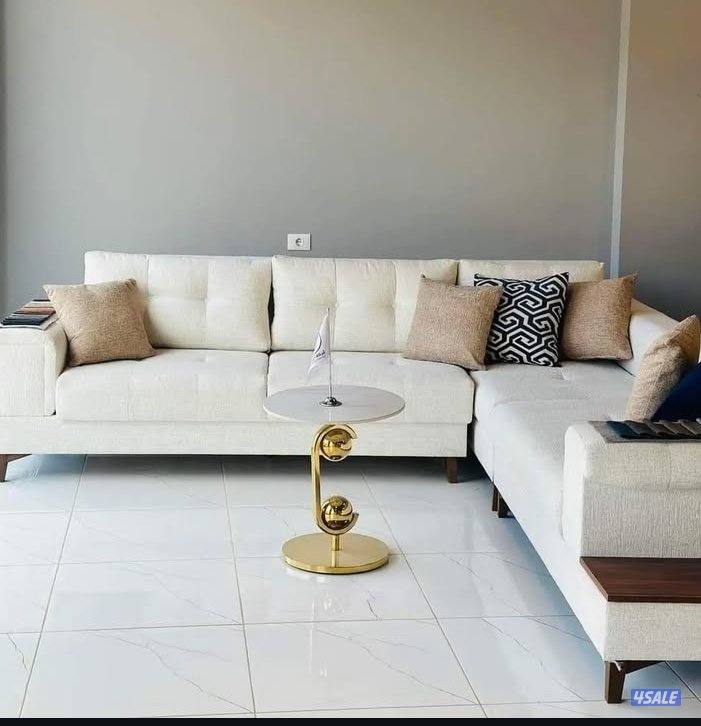 الفرونيه الضجيج14