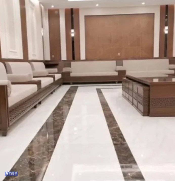 الفرونيه الضجيج15