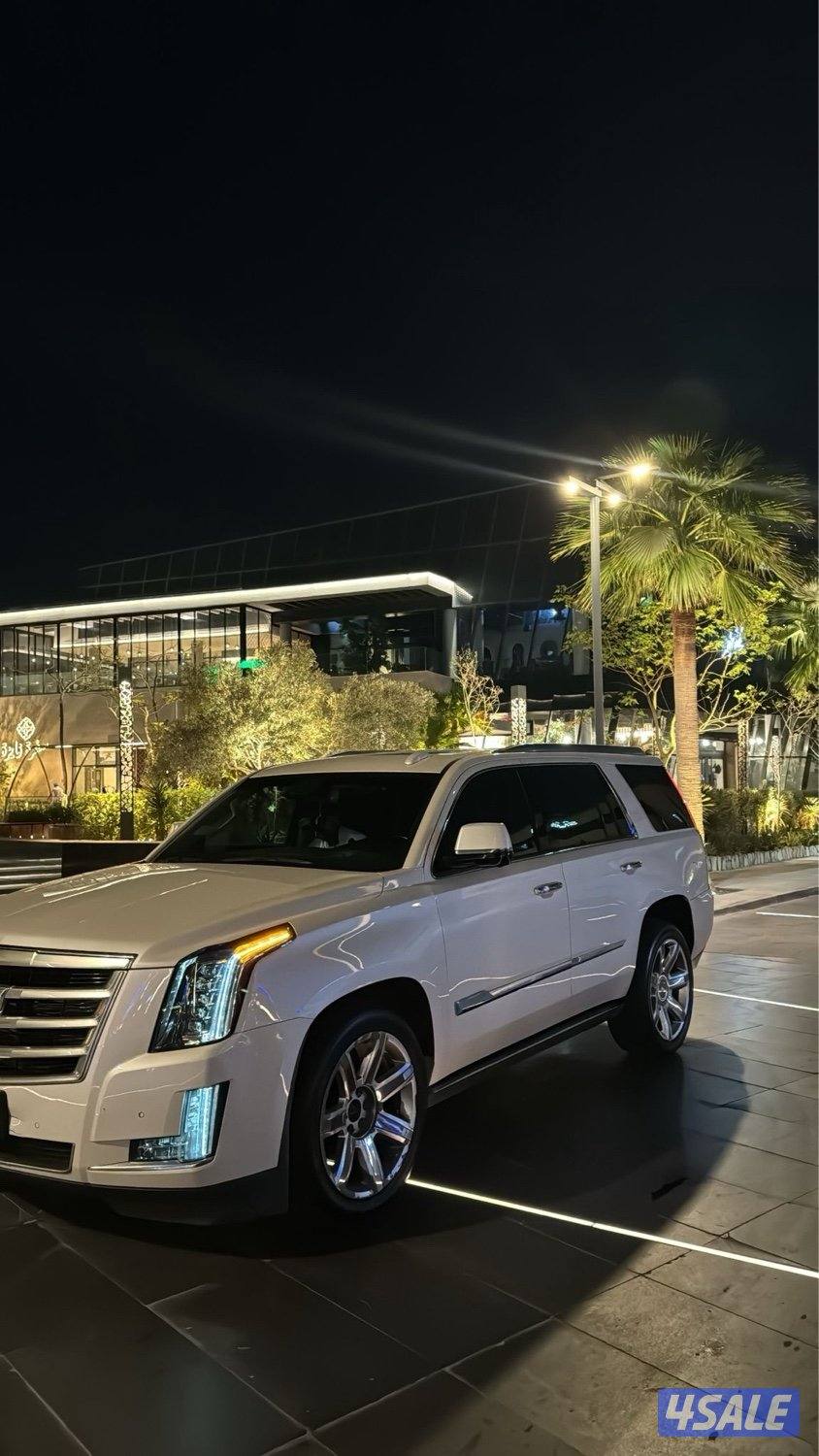 اسكاليد 20151