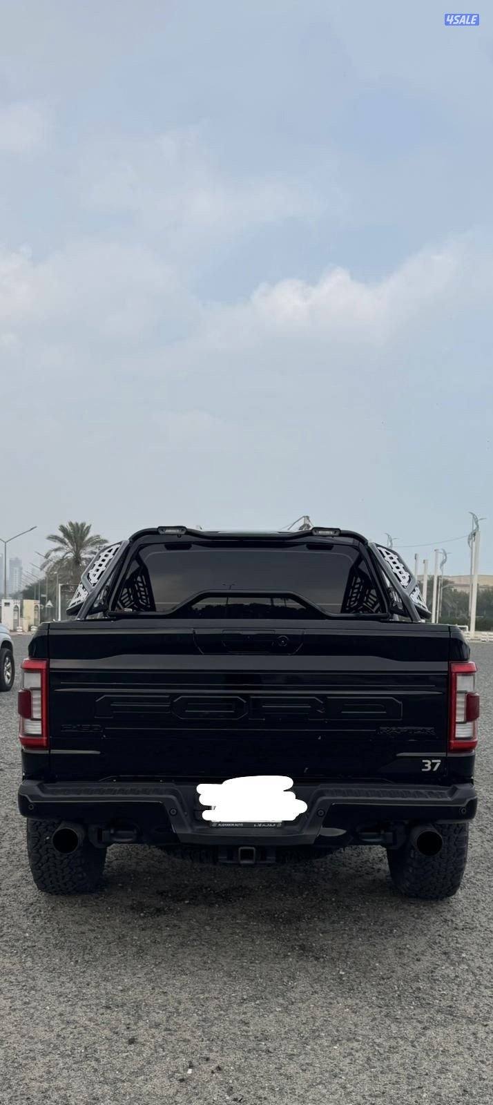 للبيع فورد رابتر 373