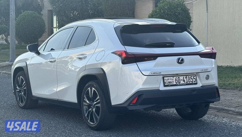 صبغ الوكالة / شرط الفحص1