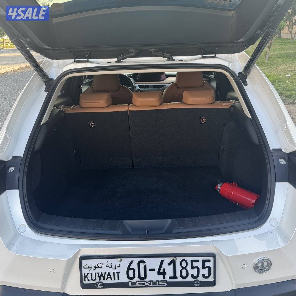 صبغ الوكالة / شرط الفحص2