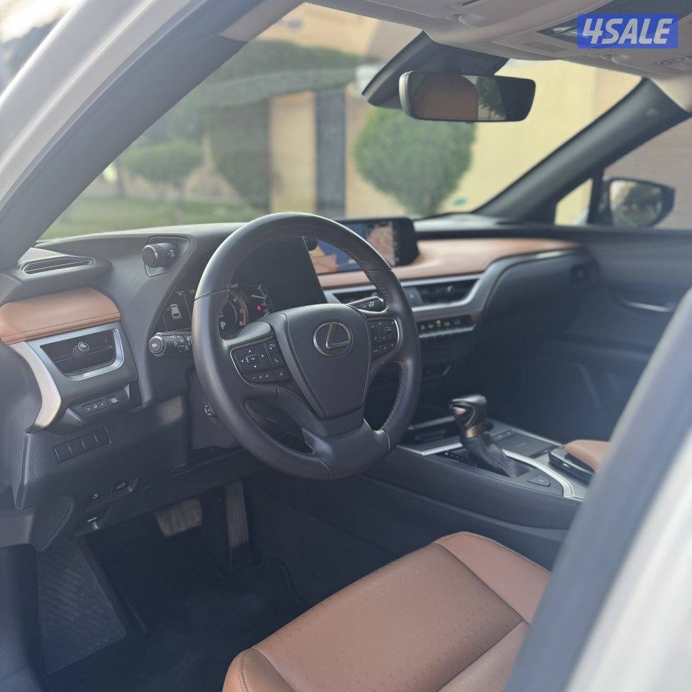 صبغ الوكالة / شرط الفحص3