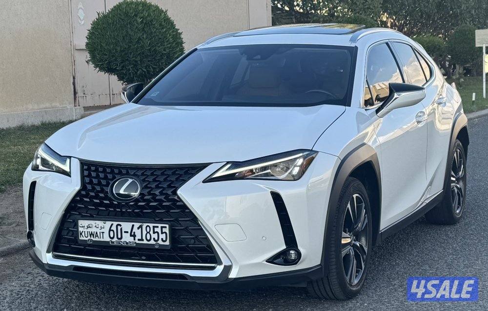 صبغ الوكالة / شرط الفحص6