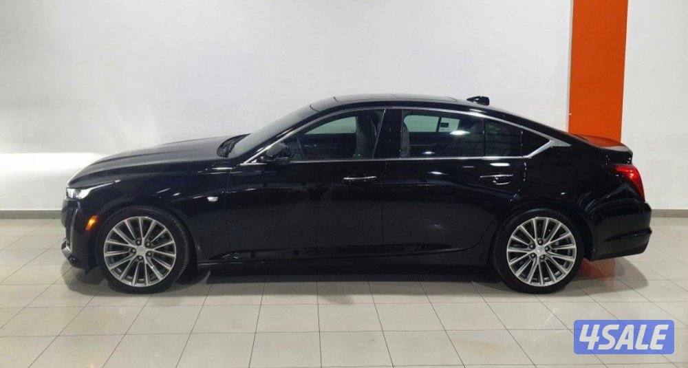 شرط الفحص بالكامل1