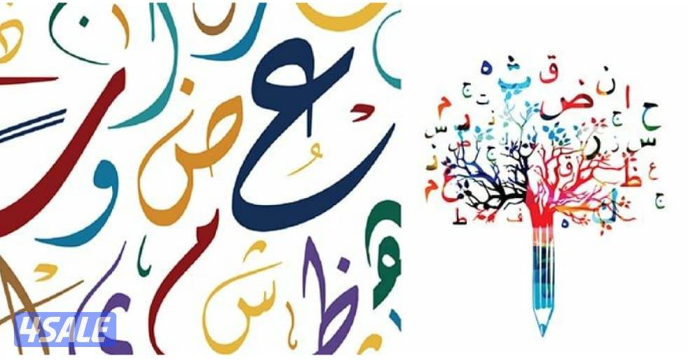 معلم لغة عربية لصفوف الثانوي8