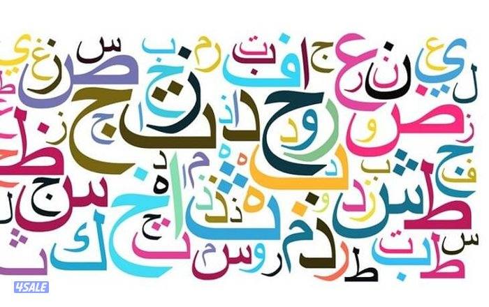 معلم لغة عربية لصفوف الثانوي14