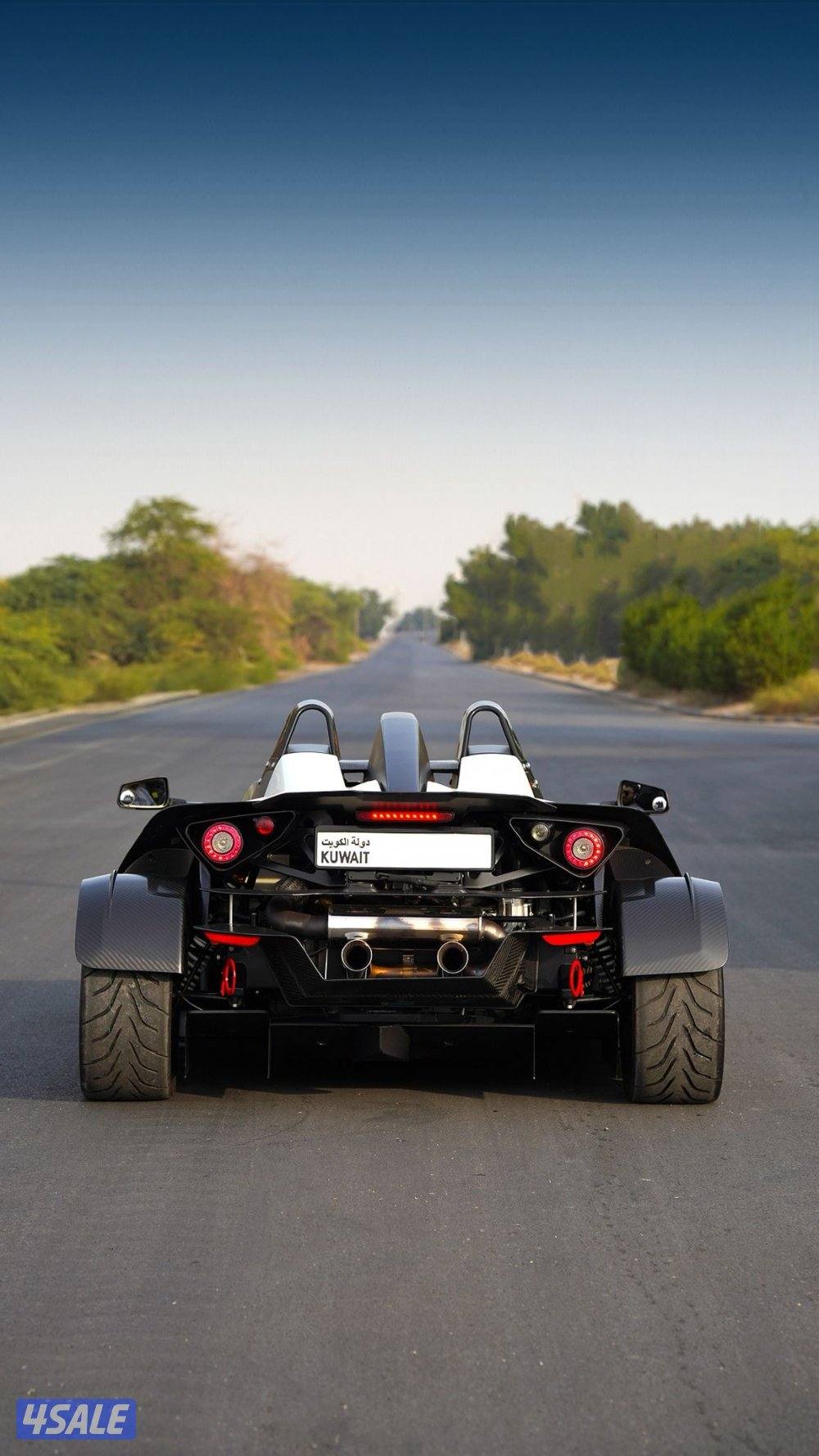 KTM X-BOW carbon fiber _20093