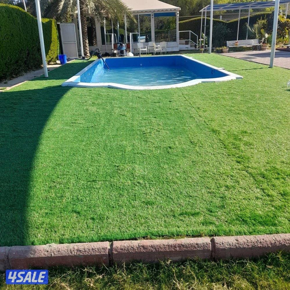 سجاد زل مساند ضهر دوانيات رسميه كل مايخص الاثاث7