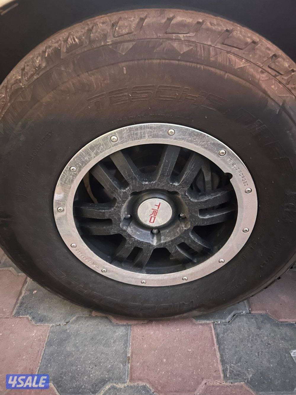 للبيع رنقات و تواير شواهين1