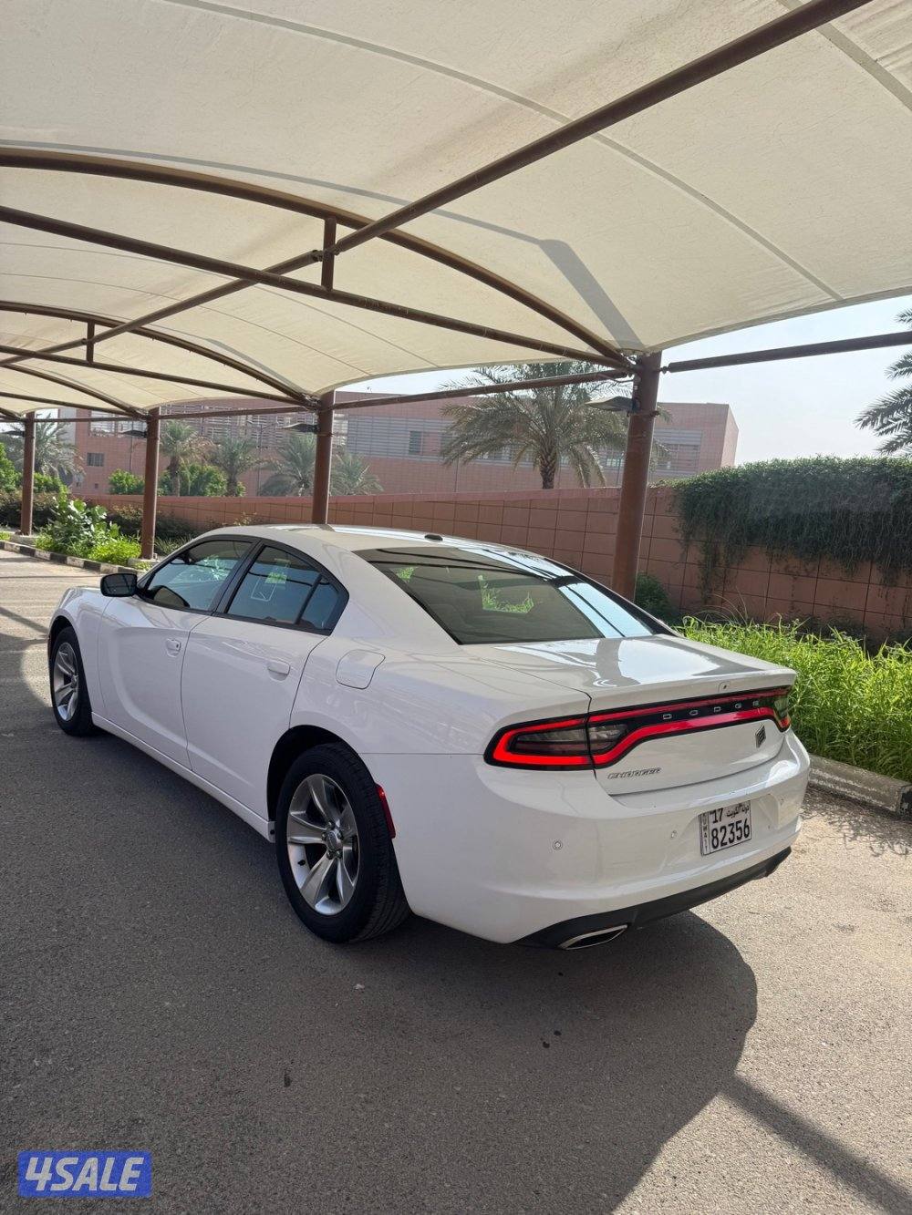 شارجر 2020 سته سلندر صبغ وكاله.3