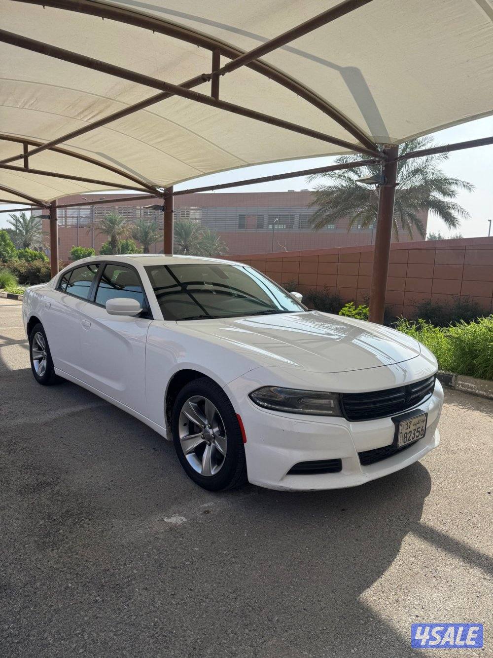 شارجر 2020 سته سلندر صبغ وكاله.2