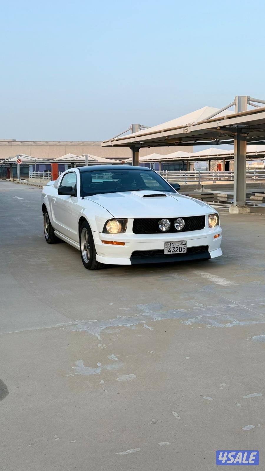 للبيع موستنق 20080