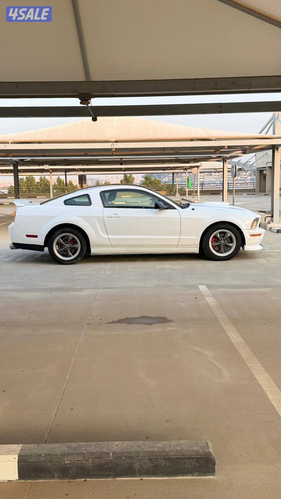 للبيع موستنق 20083