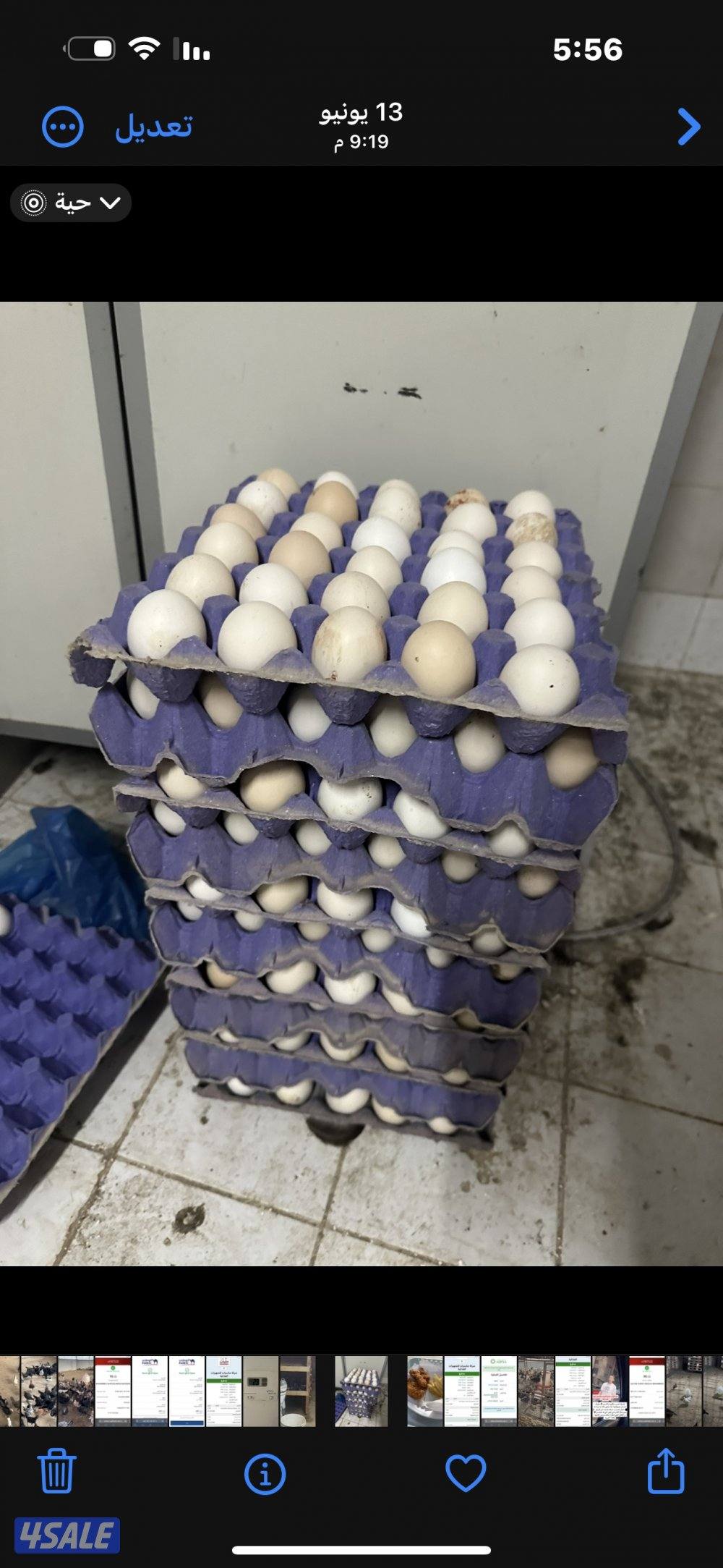 ‏مزارع الوفرة طريق 7001