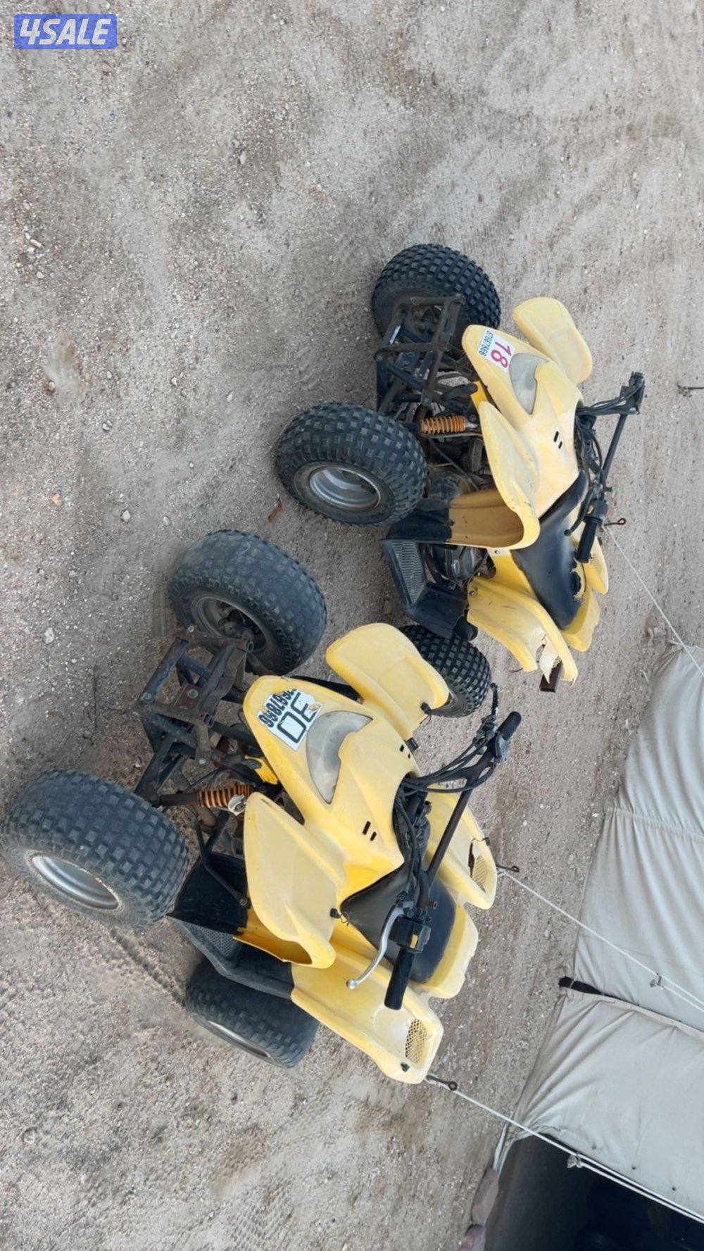 للبيع بقيات عميري جمله او تفريد1