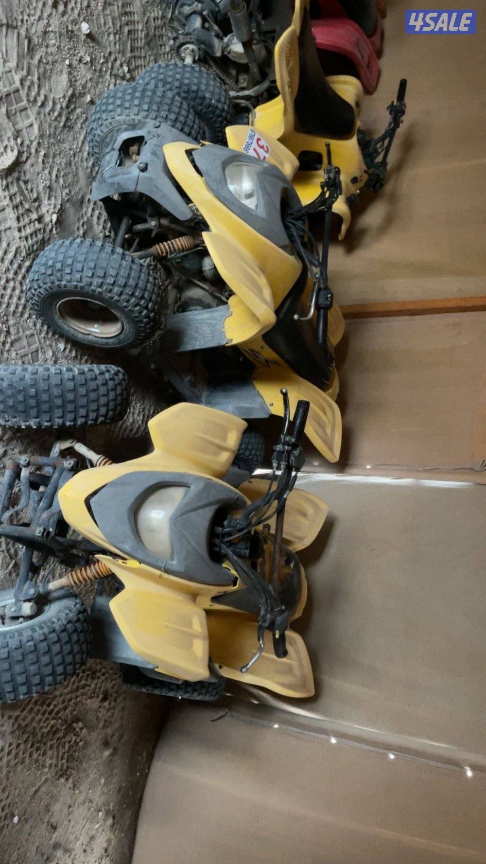 للبيع بقيات عميري جمله او تفريد3