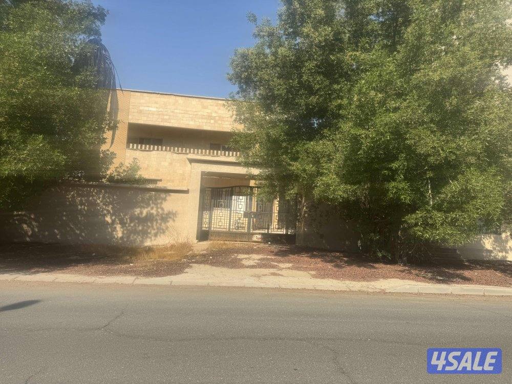 شارع واحد أمامه جزيره ساحه1