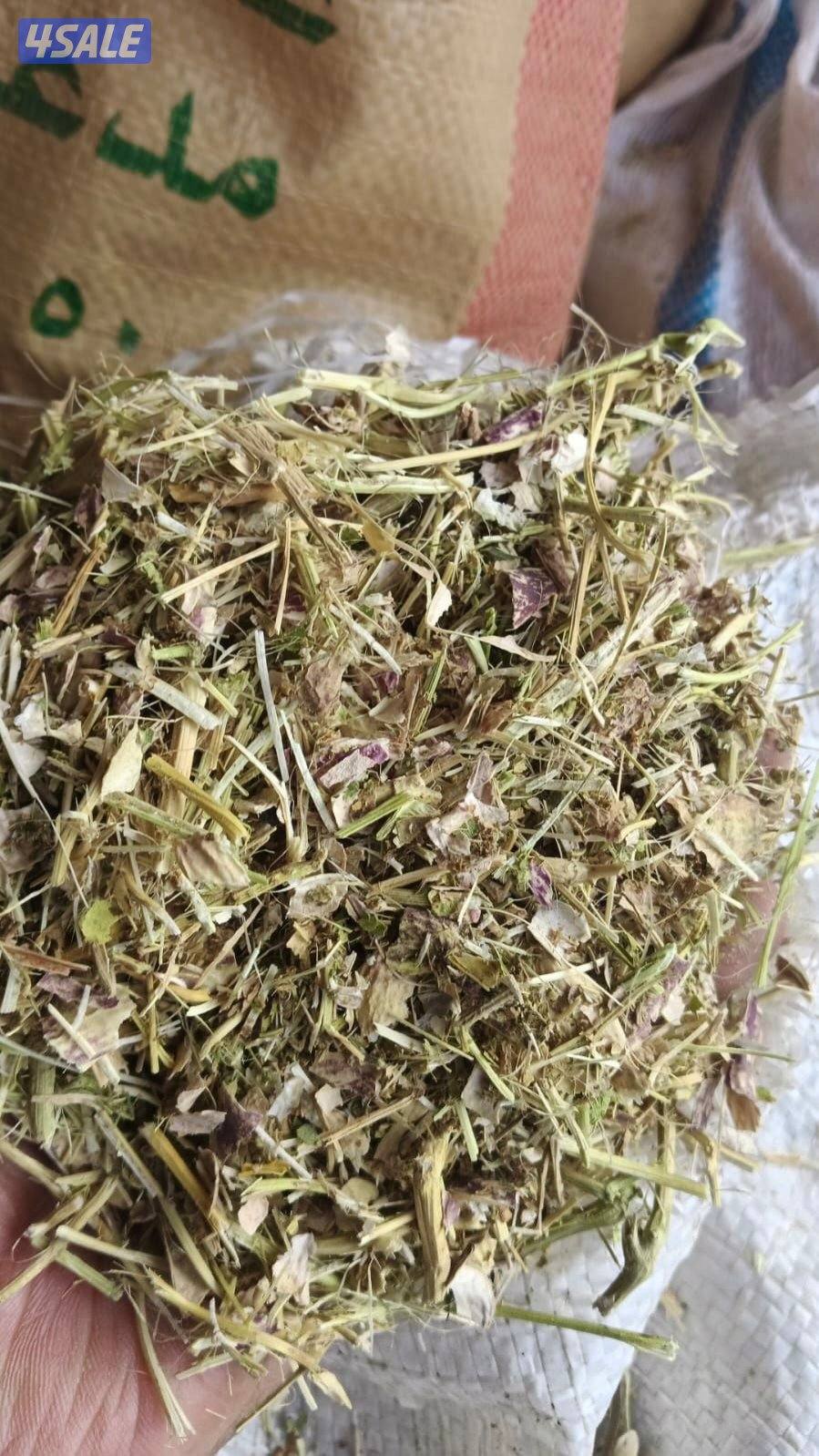 فول ايراني درجه اولى0