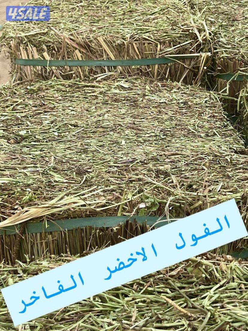 فول سوداني ربطات فوق الجامبو0