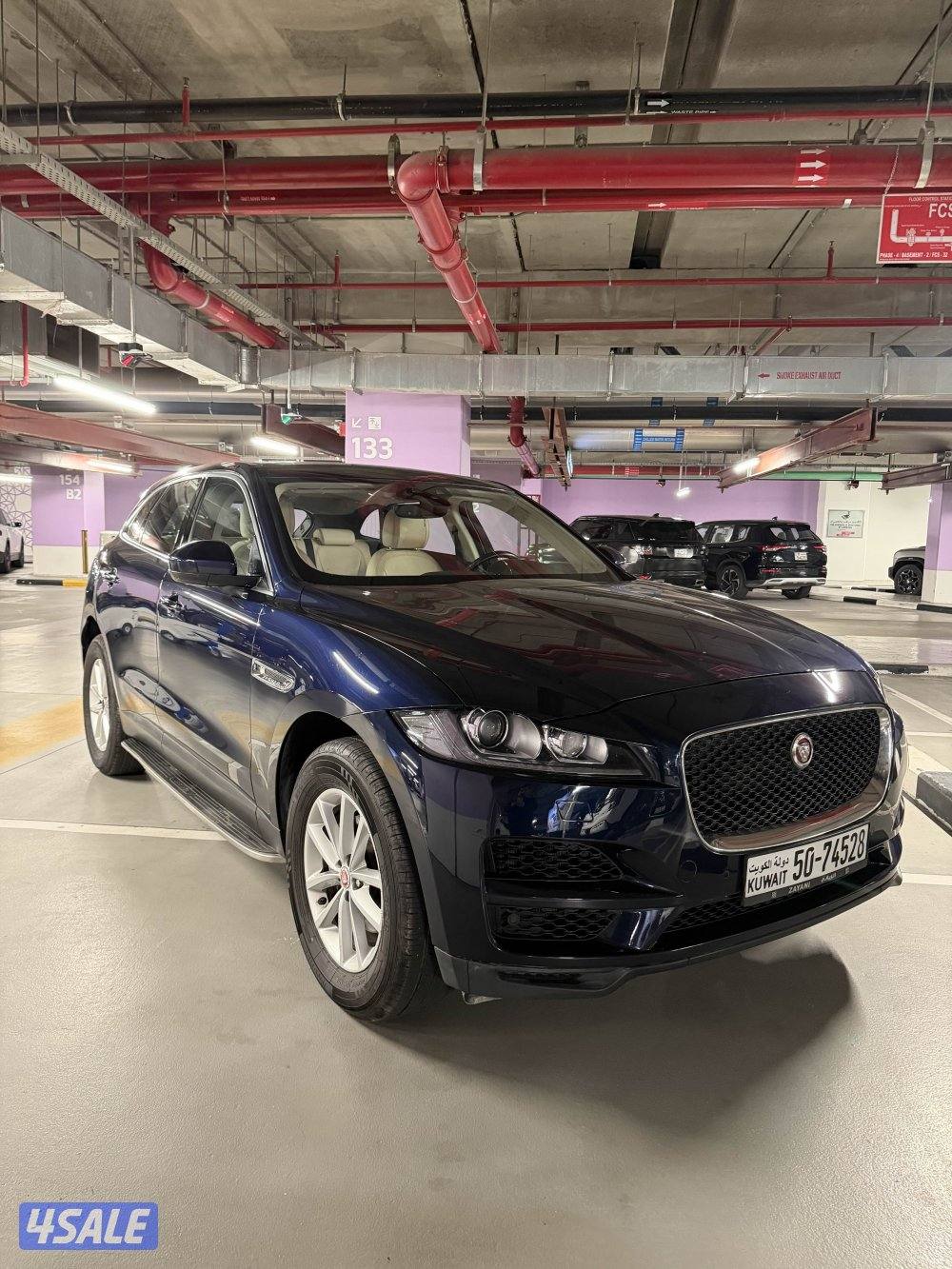 2019 شرط الفحص0