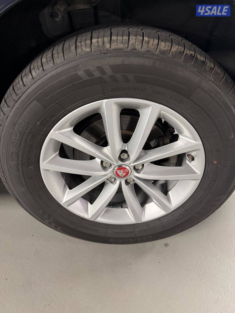 2019 شرط الفحص5