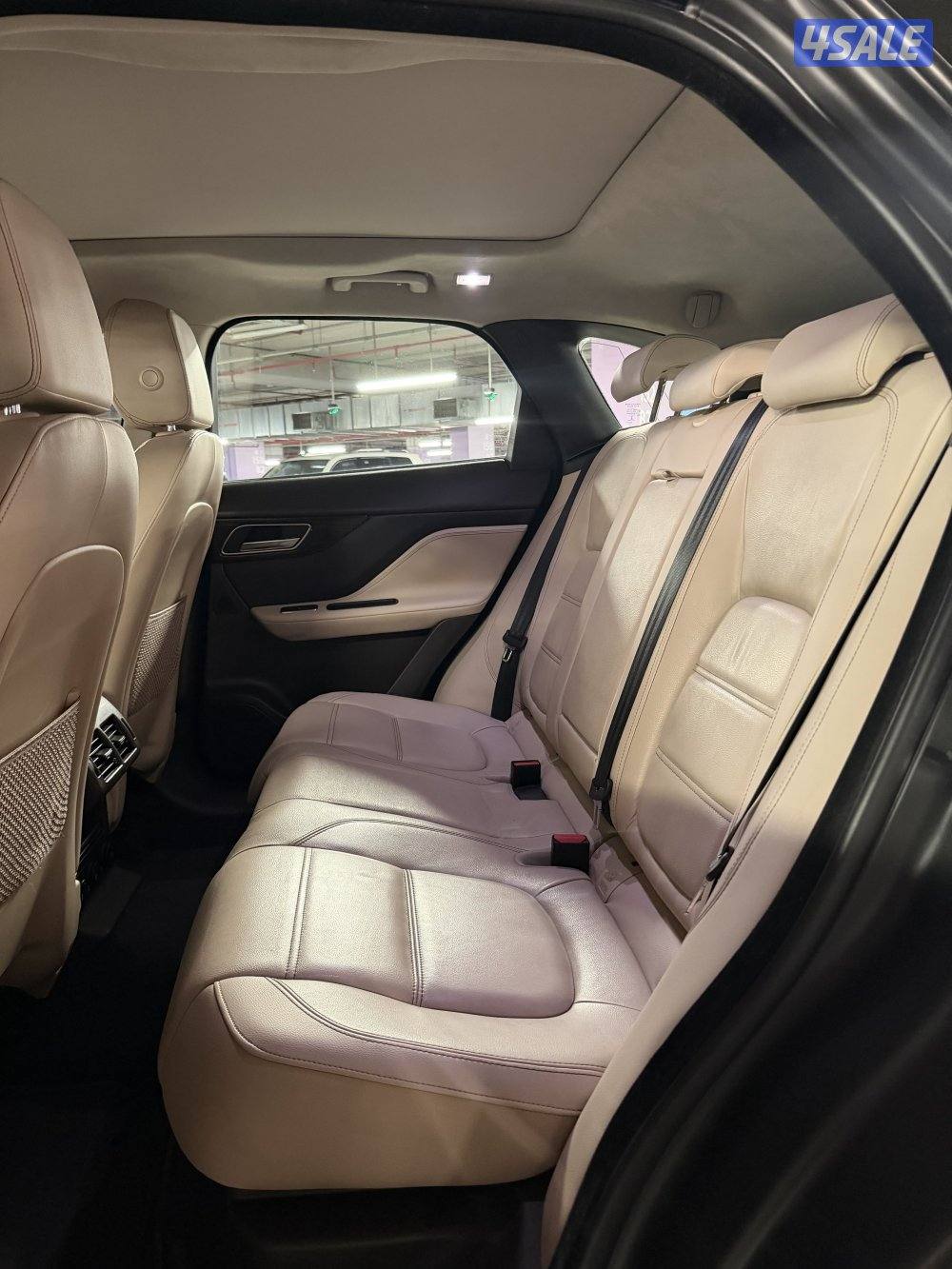 2019 شرط الفحص6