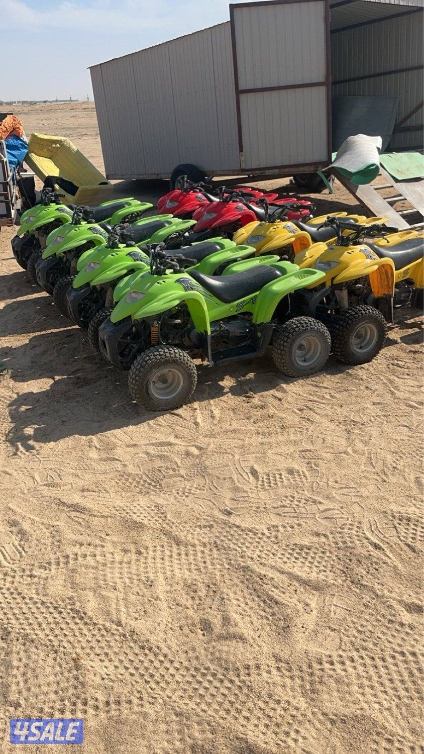 للبيع بقيات العميري استخدام موسم فقط0