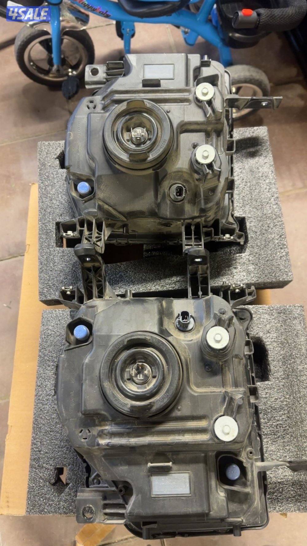 للبيع  اصطبات شاص0