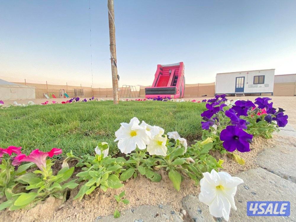 مخيم للايجار0