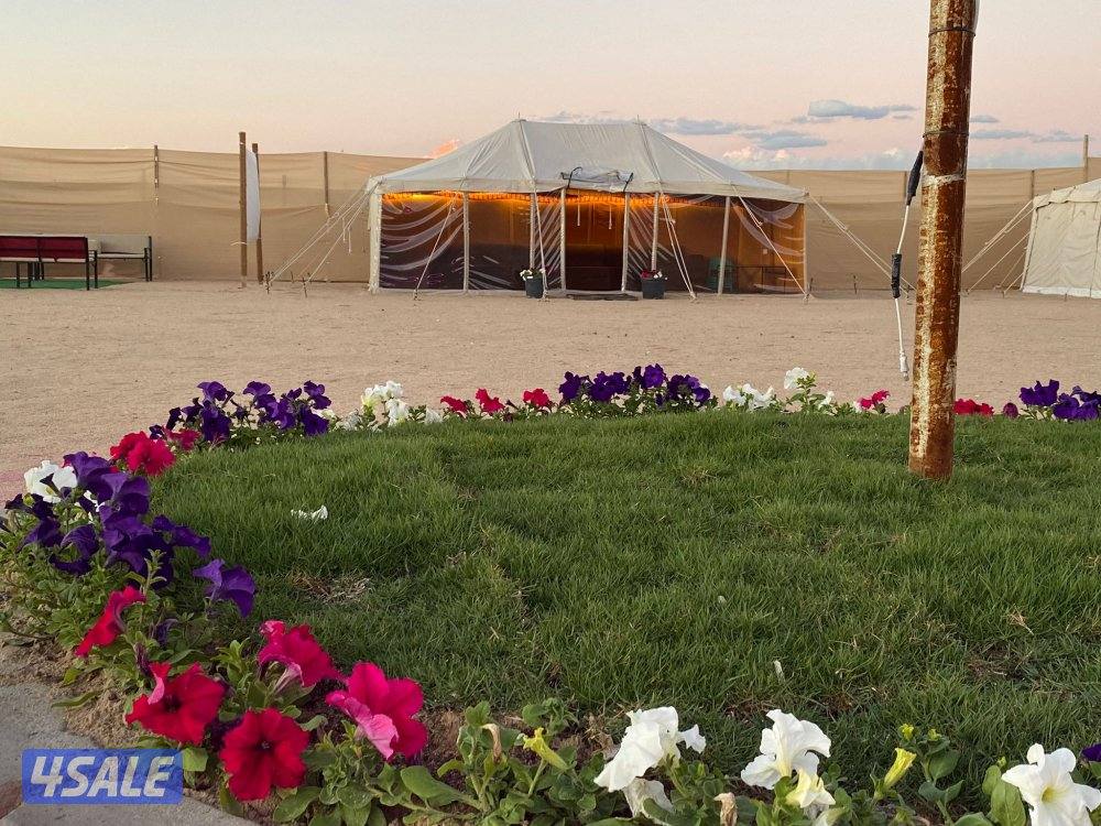 مخيم للايجار1