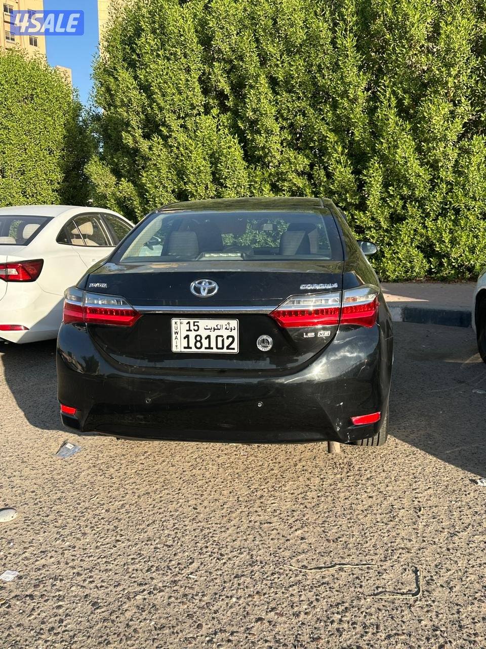 corolla20190