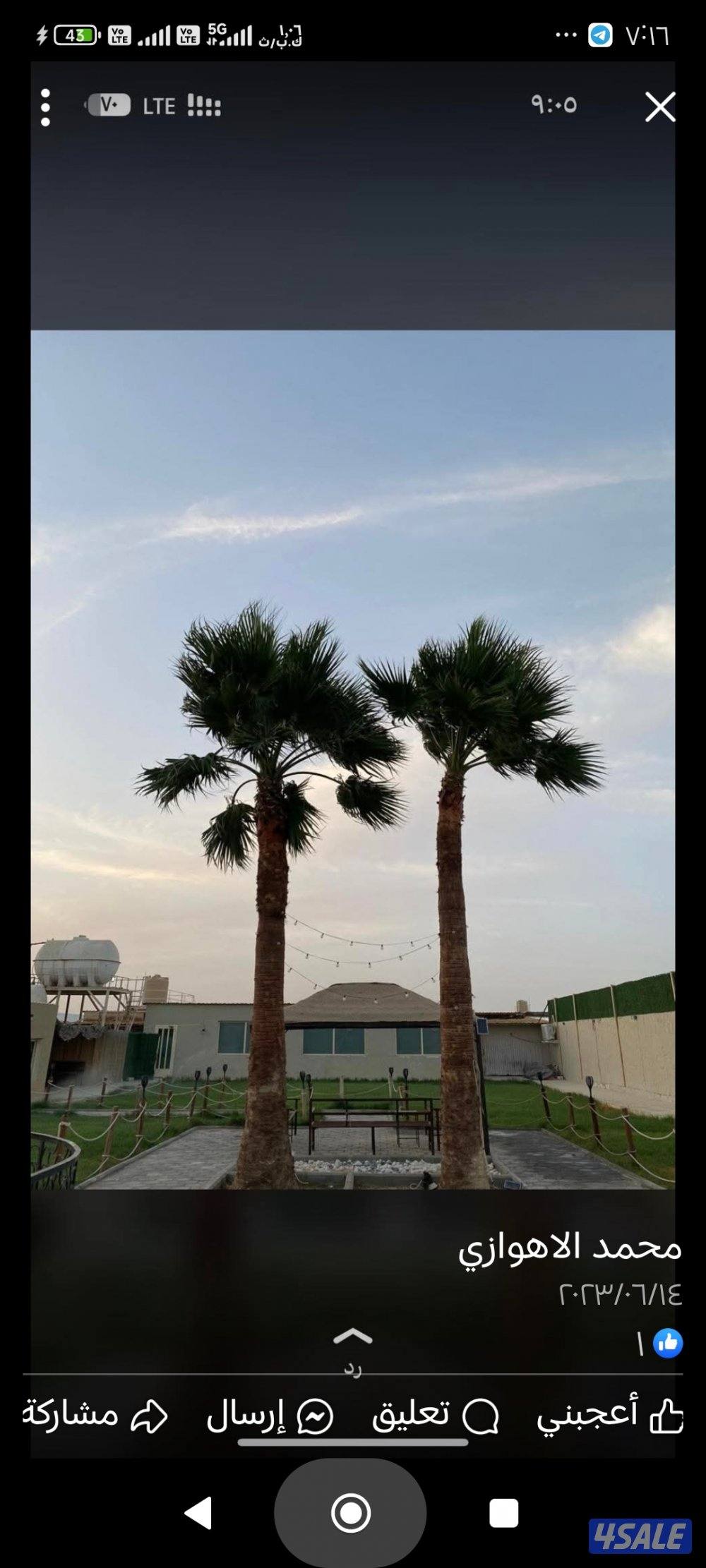 تنسيق حدائق4