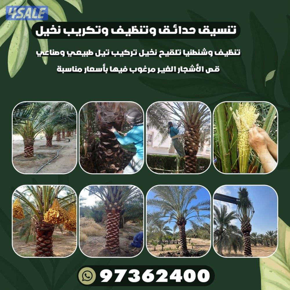 تنسيق حدائق5