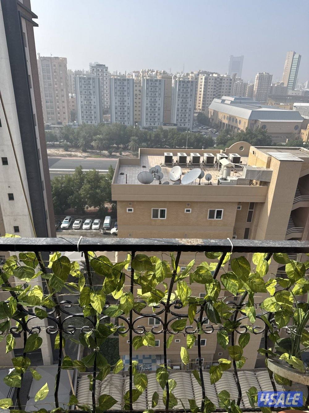 ميدان حولي8