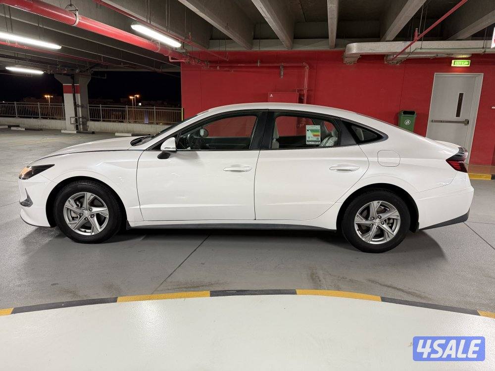 📌 تحت الكفالة2